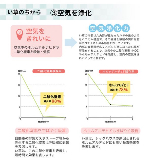 ラグ い草 撥水 滑り止め 不織布 格子柄 シンプル カジュアル 抗菌防臭 約190×300cm
