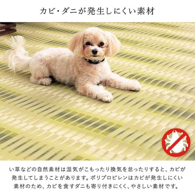 洗える ござ 日本製 国産 カーペット 丈夫 除菌スプレー対応 敷詰 ラグ 敷物 アウトドア レジャー ペット 江戸間8畳（約348×352cm）