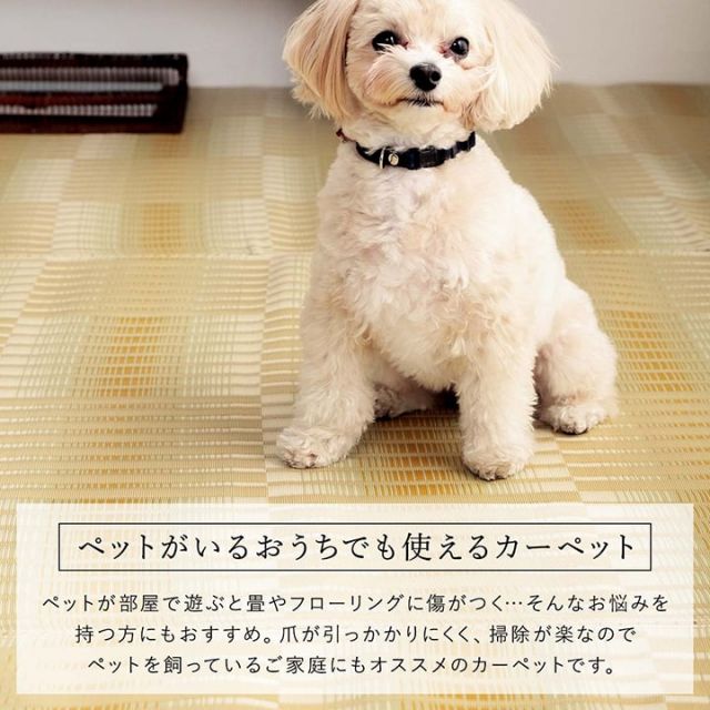 洗える ござ 日本製 国産 カーペット 丈夫 除菌スプレー対応 敷詰 ラグ 敷物 アウトドア レジャー ペット 江戸間10畳（約435×352cm）