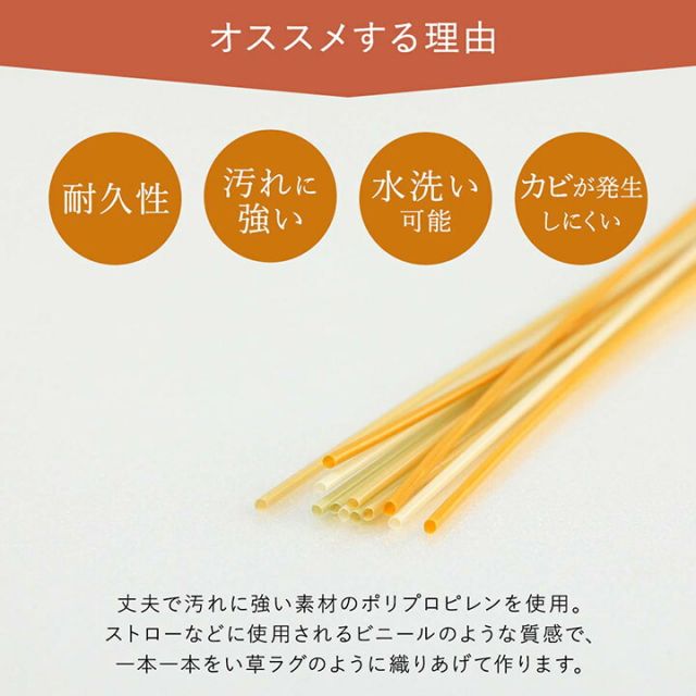 洗える ござ 日本製 国産 カーペット 丈夫 除菌スプレー対応 敷詰 ラグ 敷物 アウトドア レジャー ペット 江戸間10畳（約435×352cm）