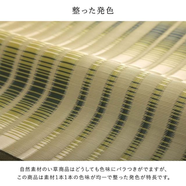 洗える ござ 日本製 国産 カーペット 丈夫 除菌スプレー対応 敷詰 ラグ 敷物 アウトドア レジャー ペット 江戸間10畳（約435×352cm）