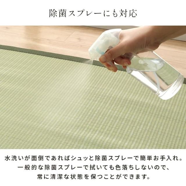 洗える ござ 日本製 国産 カーペット 丈夫 除菌スプレー対応 敷詰 ラグ 敷物 ペット 無地 江戸間3畳（約174×261cm）