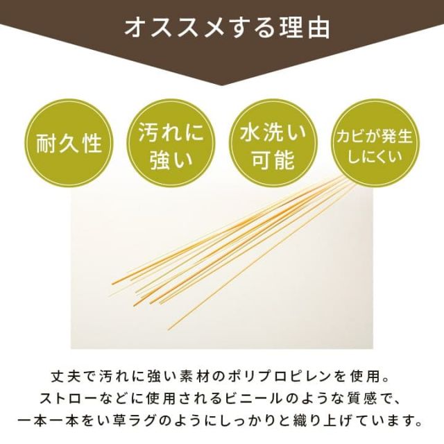 洗える ござ 日本製 国産 カーペット 丈夫 除菌スプレー対応 敷詰 ラグ 敷物 ペット 無地 江戸間3畳（約174×261cm）