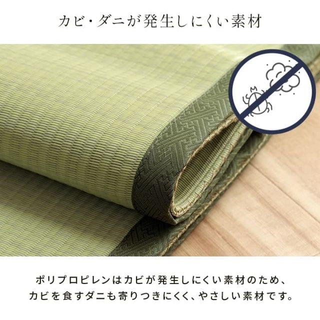 洗える ござ 日本製 国産 カーペット 丈夫 除菌スプレー対応 敷詰 ラグ 敷物 ペット 無地 江戸間3畳（約174×261cm）