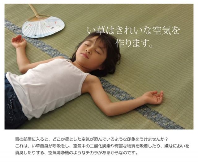 純国産 い草 上敷き カーペット 糸引織 『柿田川』 江戸間2畳(約176×176cm）