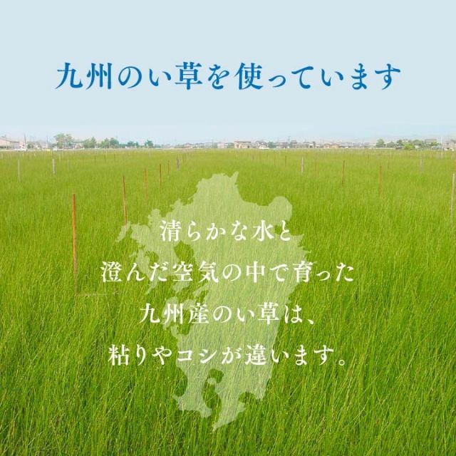 純国産 い草 上敷き お手入れ簡単 カーペット 汚れに強い 双目織  団地間6畳(約255×340cm）