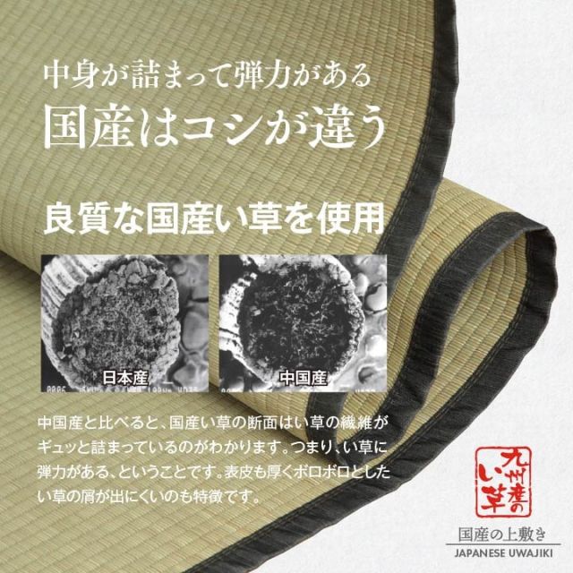 純国産 い草 上敷き お手入れ簡単 カーペット 汚れに強い 双目織  江戸間6畳(約261×352cm）