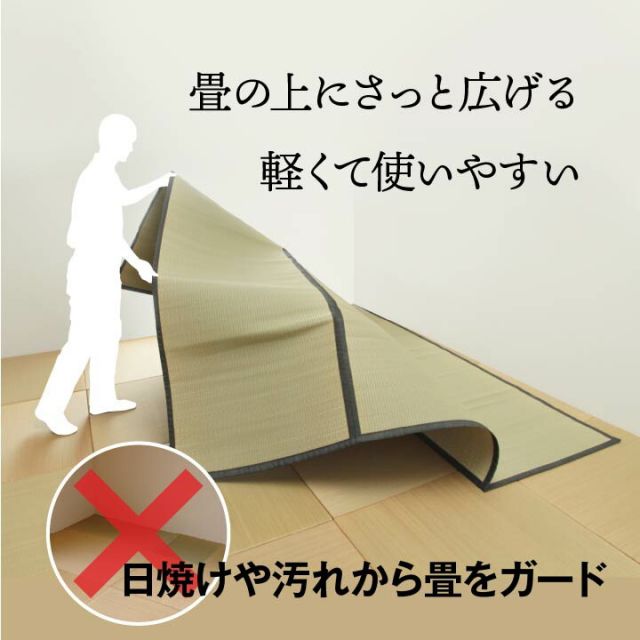 純国産 い草 上敷き お手入れ簡単 カーペット 汚れに強い 双目織  三六間6畳(約273×364cm）
