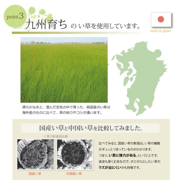 スーパSALE10倍＆4時間限定10％OFF 純国産 い草の敷きパット 『草ね 汗取りP』 約70×120cm