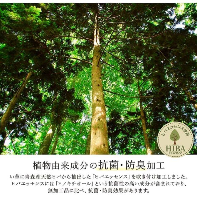 ラグ い草 モダン 純国産 国産 日本製 ウレタン 抗菌防臭 自然素材 ナチュラル 約191×191cm