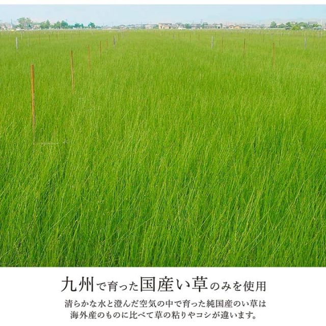 スーパSALE10倍＆4時間限定10％OFF ラグ い草 モダン 純国産 国産 日本製 ウレタン 抗菌防臭 自然素材 ナチュラル 約191×250cm