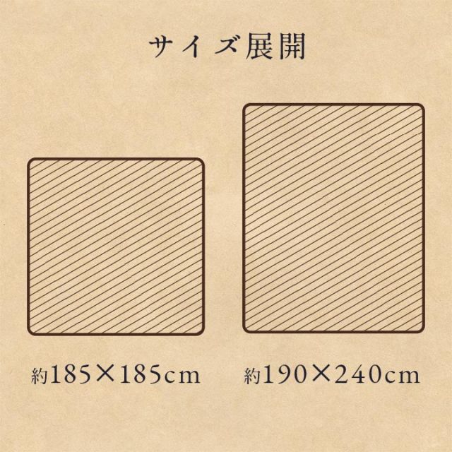ラグ 洗える 正方形 こたつ敷 チェック 額縁調 約2畳 約185×185cm 床暖房 ホットカーペット対応