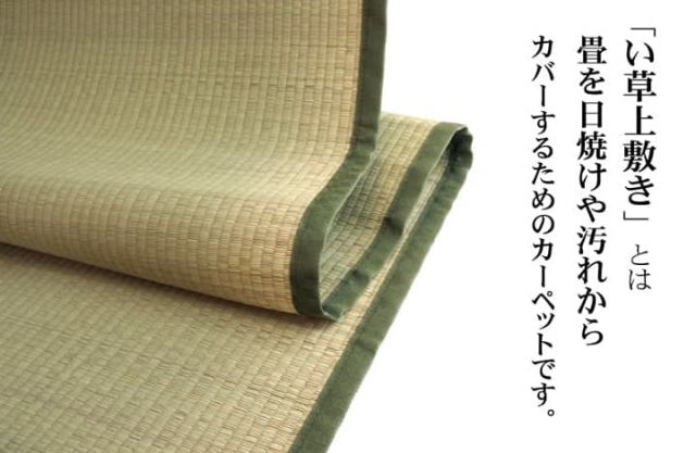 純国産 い草 上敷き カーペット 双目織 『草津』 江戸間2畳(約176×176cm）