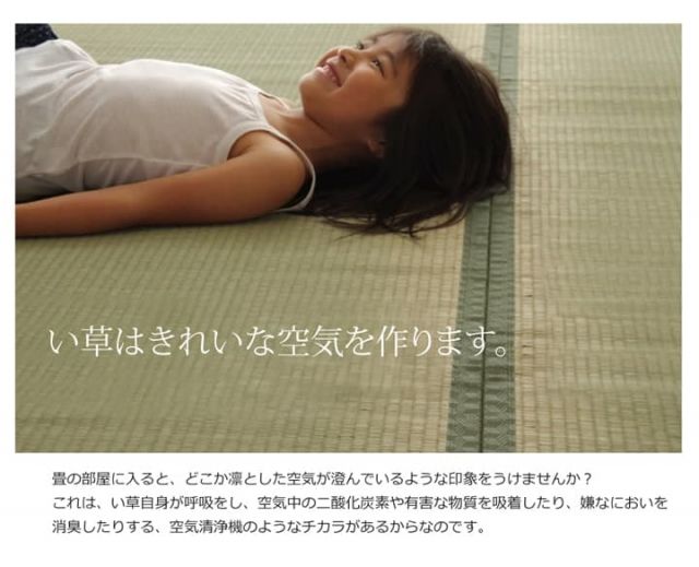 純国産 い草 上敷き カーペット 双目織 『草津』 江戸間6畳(約261×352cm）
