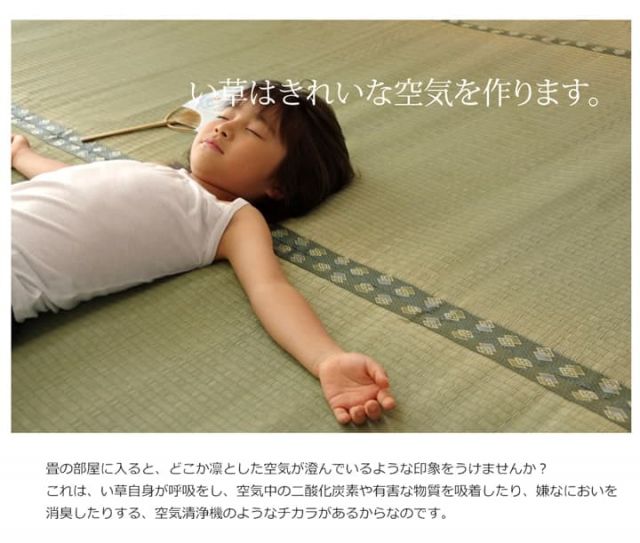 純国産 い草 上敷き カーペット 双目織 『松』 江戸間4.5畳(約261×261cm）