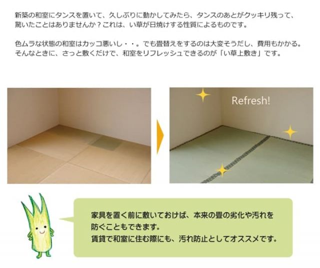 純国産 い草 上敷き カーペット 双目織 『松』 六一間8畳(約370×370cm）