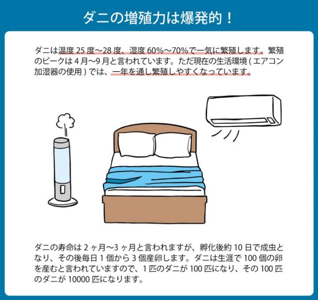 寝具 清潔 快適 掛け布団 ダニ増殖抑制 日本製 無地 シンプル ダブルロング 約190×210cm