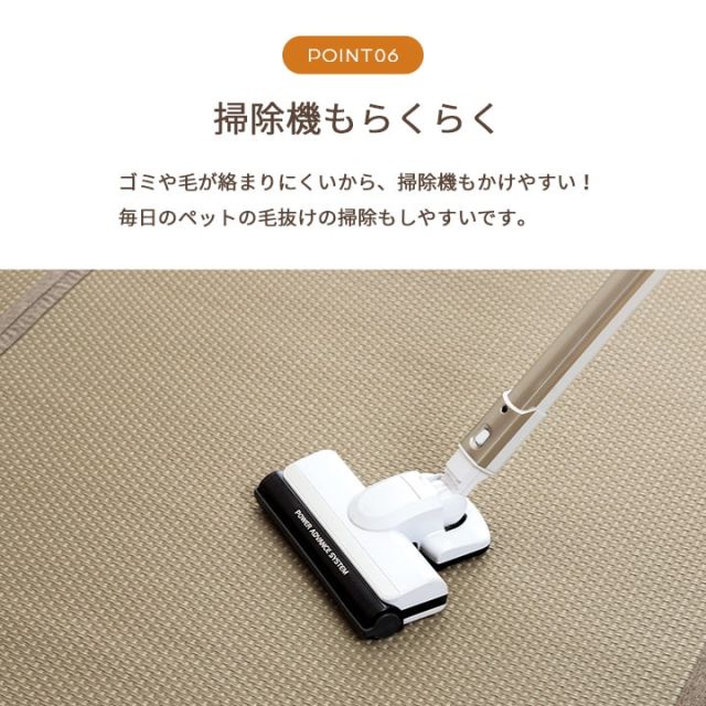 洗える ござ 日本製 国産 カーペット リバーシブル 丈夫 除菌スプレー対応 敷詰 ラグ 敷物 ペット 江戸間2畳（約174×174cm）
