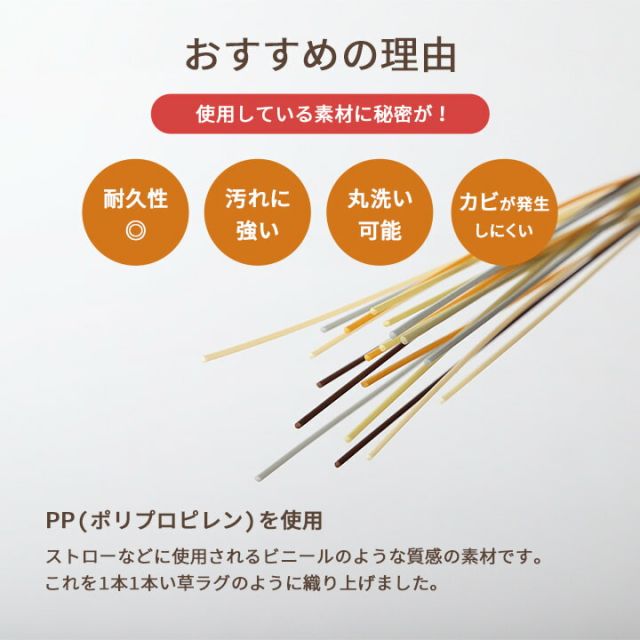 洗える ござ 日本製 国産 カーペット リバーシブル 丈夫 除菌スプレー対応 敷詰 ラグ 敷物 ペット 江戸間2畳（約174×174cm）