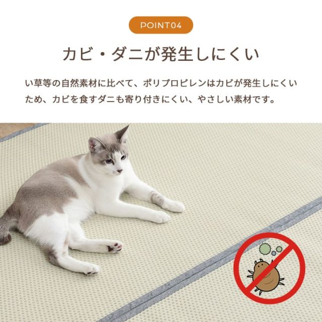 洗える ござ 日本製 国産 カーペット リバーシブル 丈夫 除菌スプレー対応 敷詰 ラグ 敷物 ペット 江戸間2畳（約174×174cm）