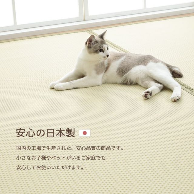 洗える ござ 日本製 国産 カーペット リバーシブル 丈夫 除菌スプレー対応 敷詰 ラグ 敷物 ペット 江戸間4.5畳（約261×261cm）