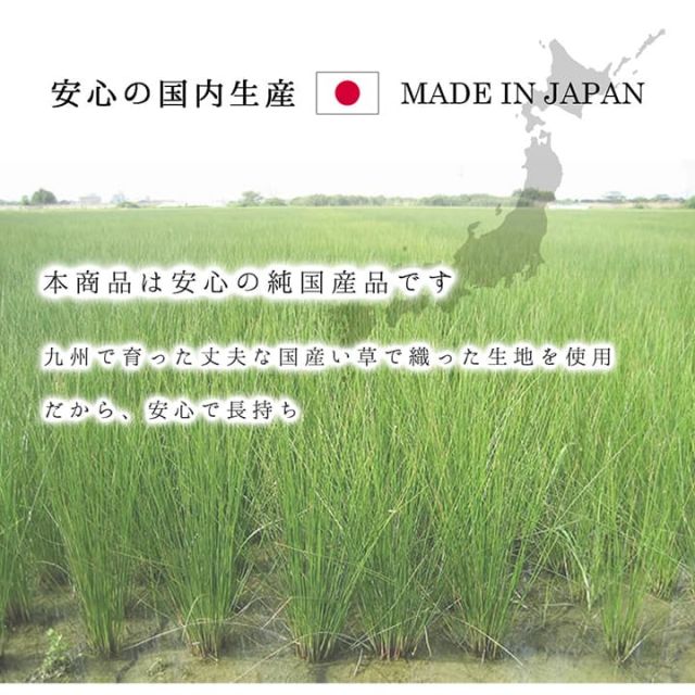 ラグ 正方形 夏用 い草 シンプル 191×191cm