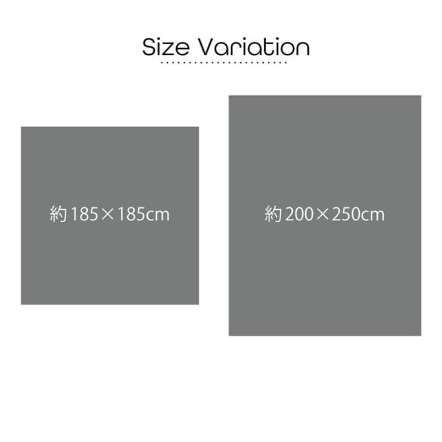 ラグ 長方形 無地 もっちり  200×250cm