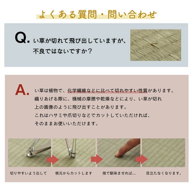 スーパSALE10倍＆4時間限定10％OFF ラグ い草 コンパクト ベーシック ズレ防止 吸着シート付 自然素材 抗菌防臭 約180×180cm