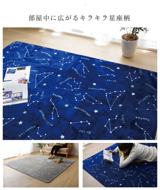 抗菌・防臭 ウォッシャブル フランネル ホットカーペットカバー 『WSミリオン RUG」約200×300cm