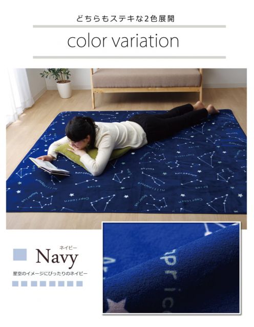 抗菌・防臭 ウォッシャブル フランネル ホットカーペットカバー 『WSミリオン RUG」約200×300cm