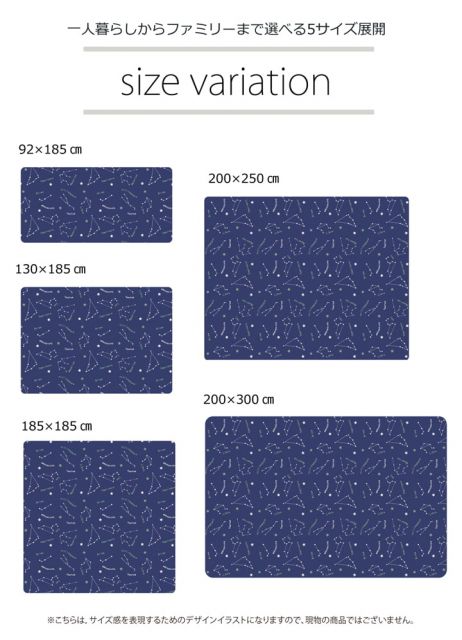 抗菌・防臭 ウォッシャブル フランネル ホットカーペットカバー 『WSミリオン RUG」約200×300cm