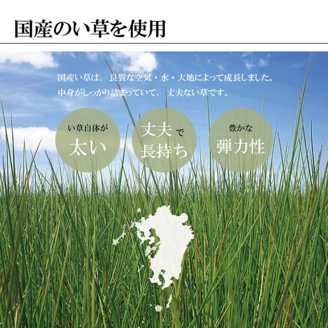 福岡県品評会最優秀賞敷物 国産 日本製 純国産 い草 掛川織 花ござ 抗菌防臭 自然素材 モダン 江戸間2畳 約174×174cm