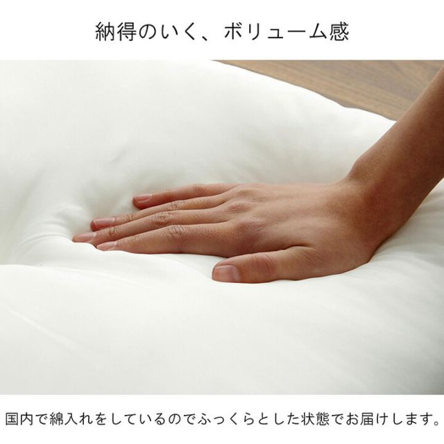 ヌードクッション 国産 日本製 洗える シート 椅子用 約45×45cm 2枚組