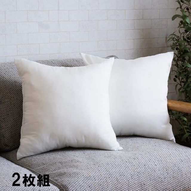 ヌードクッション 洗える 日本製 中身 セアテ 約45×45cm 2枚組