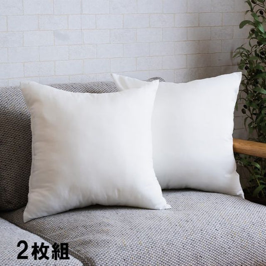 ヌードクッション 洗える 日本製 中身 セアテ 約45×45cm 2枚組