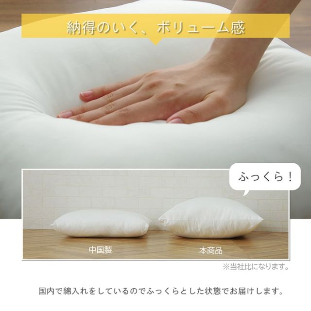 ヌードクッション 洗える 日本製 中身 セアテ 約45×45cm 2枚組