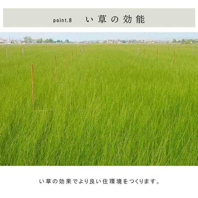 国産 い草 日本製 置き畳 ユニット畳 簡単 和室 6層 約70×70×4.5cm 単品