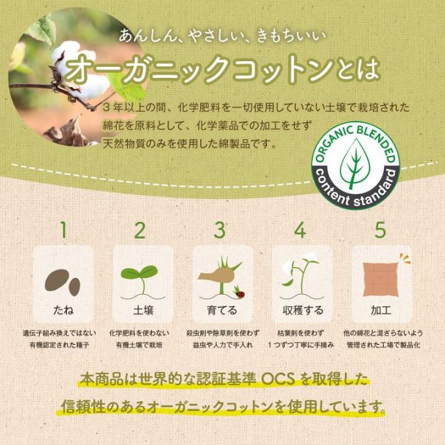 クッション フリーシート ソファ 車 日本製 オーガニックコットン 綿100% ボーダー 洗える 約43×130cm