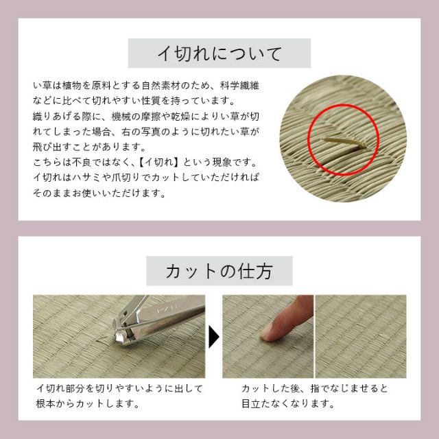 クッション チェアパッド い草 チェック柄 調湿 空気清浄 お手入れ簡単 約35丸cm