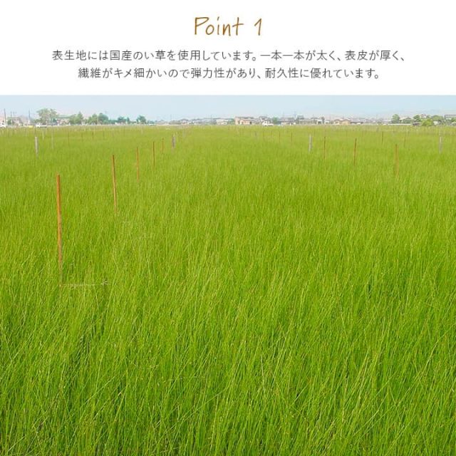 撥水 国産 い草 日本製 置き畳 ユニット畳 簡単 和室 ナチュラル 約88×88cm 単品