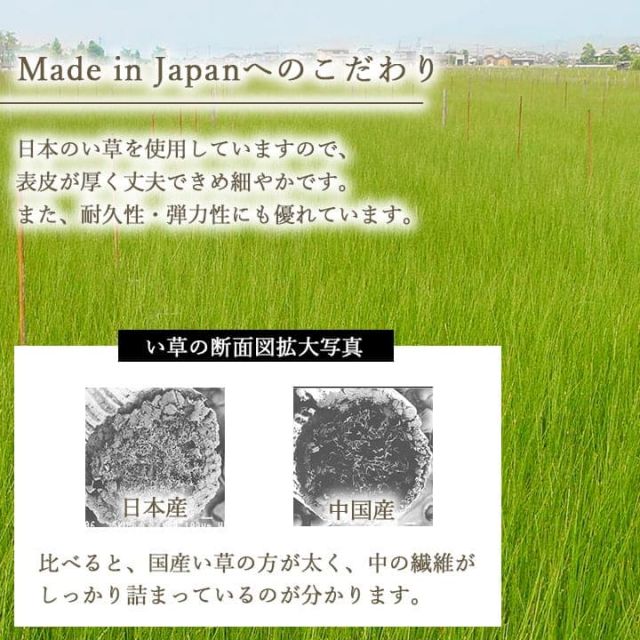 国産 い草 日本製 置き畳 ユニット畳 簡単 和室 ナチュラル 約82×82×1.5cm 単品