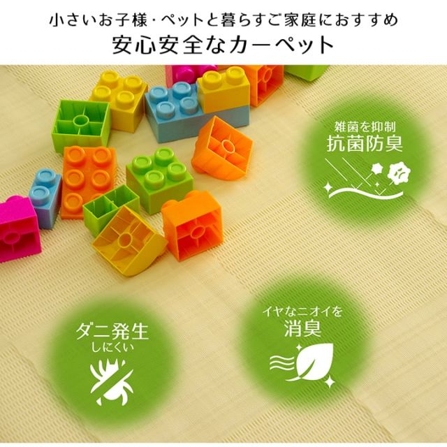 ラグ 洗える カーペット 日本製 国産 抗菌 防臭 消臭 アウトドア レジャー 敷物 和室 シンプル 江戸間2畳(約174×174cm)