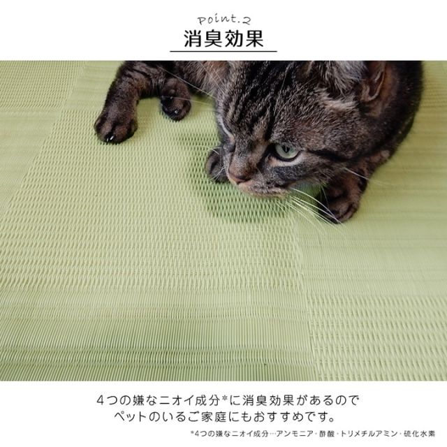 ラグ 洗える カーペット 日本製 国産 抗菌 防臭 消臭 アウトドア レジャー 敷物 和室 シンプル 江戸間2畳(約174×174cm)