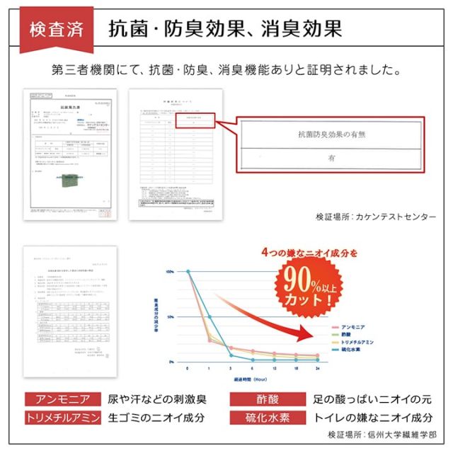 ラグ 洗える カーペット 日本製 国産 抗菌 防臭 消臭 アウトドア レジャー 敷物 和室 シンプル 江戸間2畳(約174×174cm)