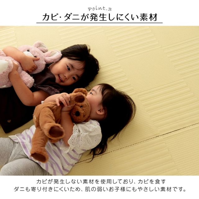 ラグ 洗える カーペット 日本製 国産 抗菌 防臭 消臭 アウトドア レジャー 敷物 和室 シンプル 江戸間2畳(約174×174cm)