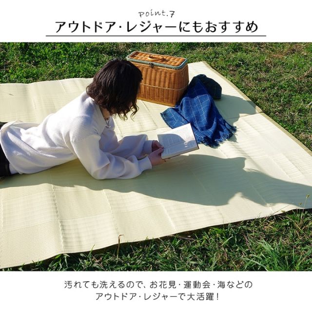ラグ 洗える カーペット 日本製 国産 抗菌 防臭 消臭 アウトドア レジャー 敷物 和室 シンプル 江戸間2畳(約174×174cm)