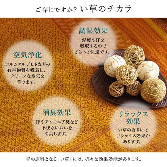 ラグ マット 国産 純国産 日本製 い草 モダン 抗菌防臭 自然素材 約95×150cm