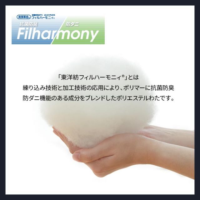 スーパSALE10倍＆4時間限定10％OFF 寝具 洗える 抗菌防臭 防ダニ 消臭 敷き布団 東洋紡フィルハーモニー アレル物質を吸着分解 カバー付き 日本製 ダブルロング ソフィア約140×210cm