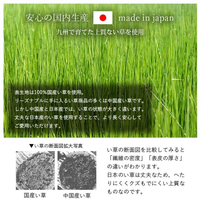 寝具 枕 平枕 い草 吸湿 調湿効果 抗菌防臭 ベージュ 50×30cm