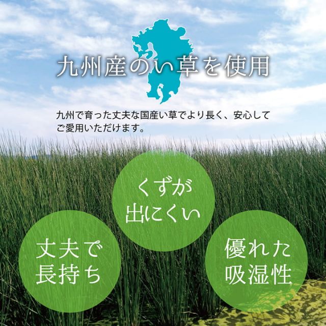 上敷き ゴザ 敷詰 カーペット い草 自然素材 日本製 国産 消臭 抗菌防臭 麻の葉 レトロ 和 江戸間3畳 約174×261cm